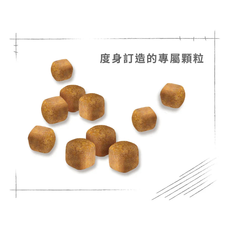 Royal Canin | 緬因幼貓貓乾糧 10kg