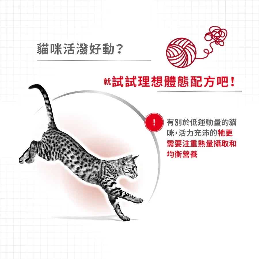 Royal Canin | 成貓全效健康營養配方 Regular Fit 貓乾糧 15kg