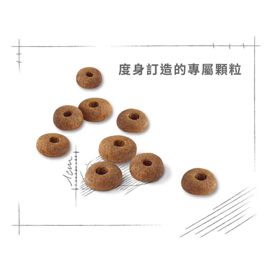 Royal Canin | 成貓全效健康營養配方 Regular Fit 貓乾糧 15kg