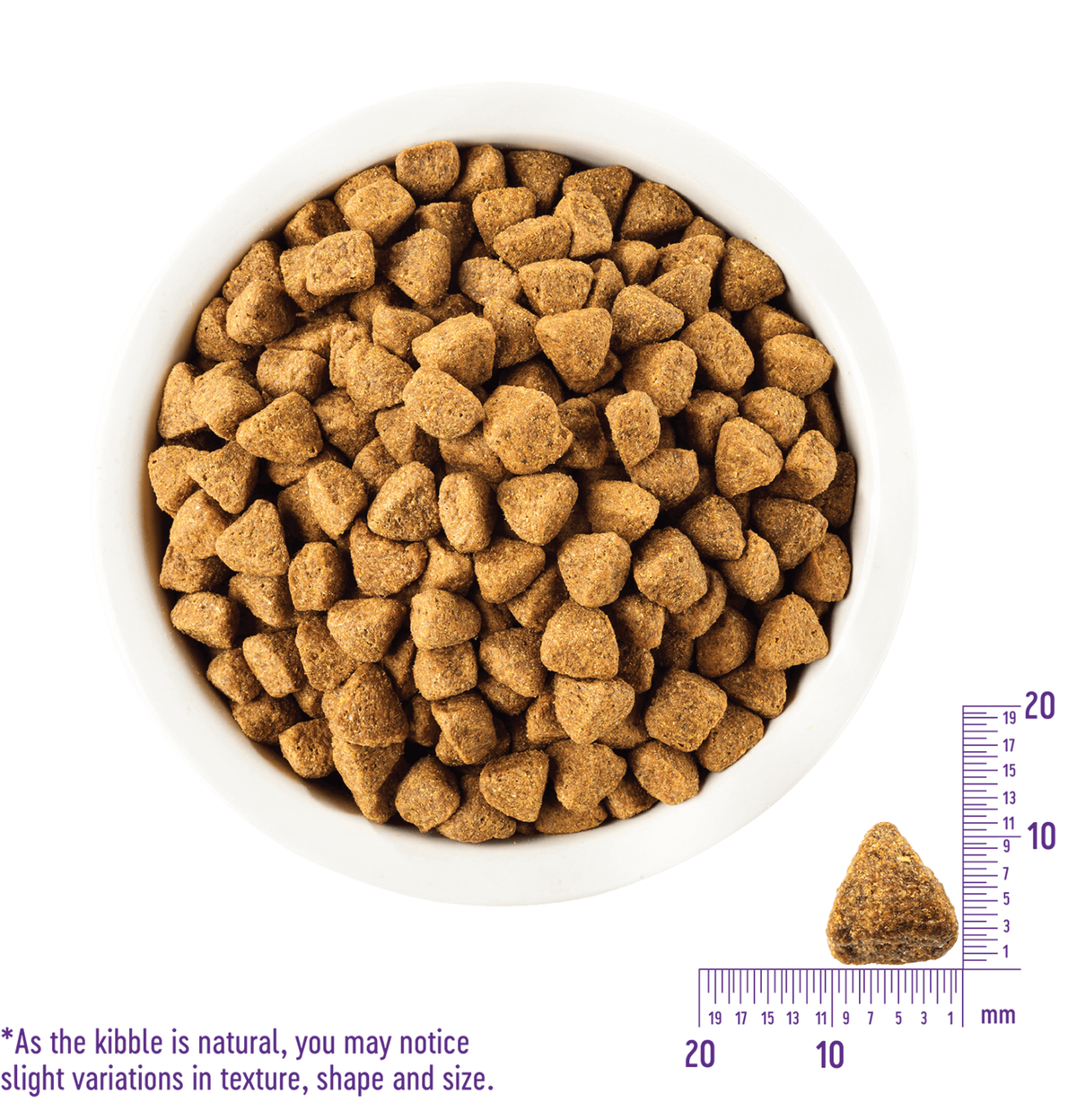 Wellness | Complete Health 無穀物雞肉狗乾糧 4lb