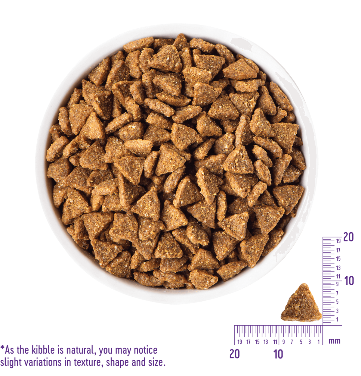 Wellness | Core 無穀物小型幼犬聰明活力食譜狗乾糧 12lb