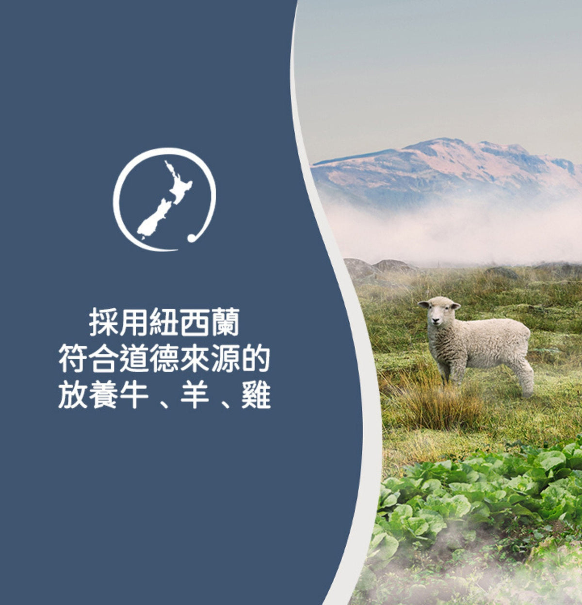 ZiwiPeak | 微蒸風乾草飼羊肉+綠色蔬菜狗糧 1.5kg