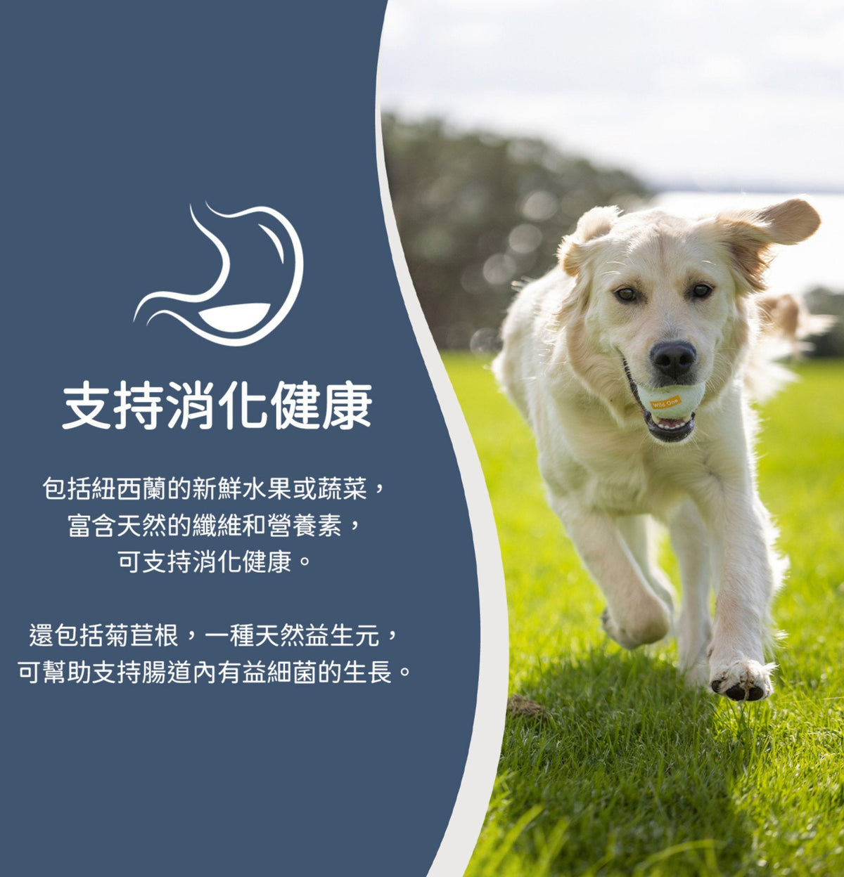 ZiwiPeak | 微蒸風乾草飼羊肉+綠色蔬菜狗糧 3.2kg