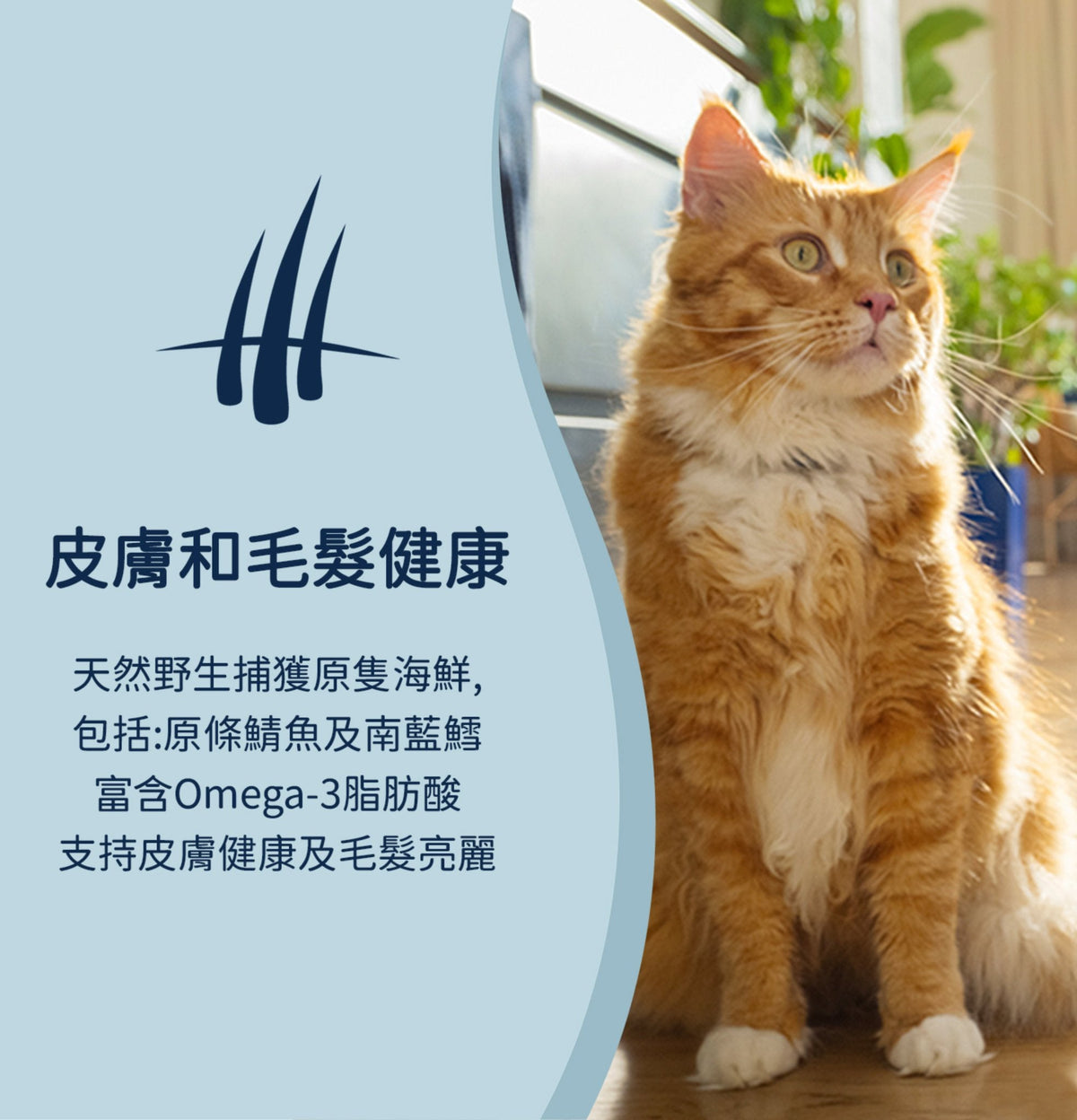 ZiwiPeak | 微蒸風乾放養雞+原條鯖魚貓糧 2.2kg