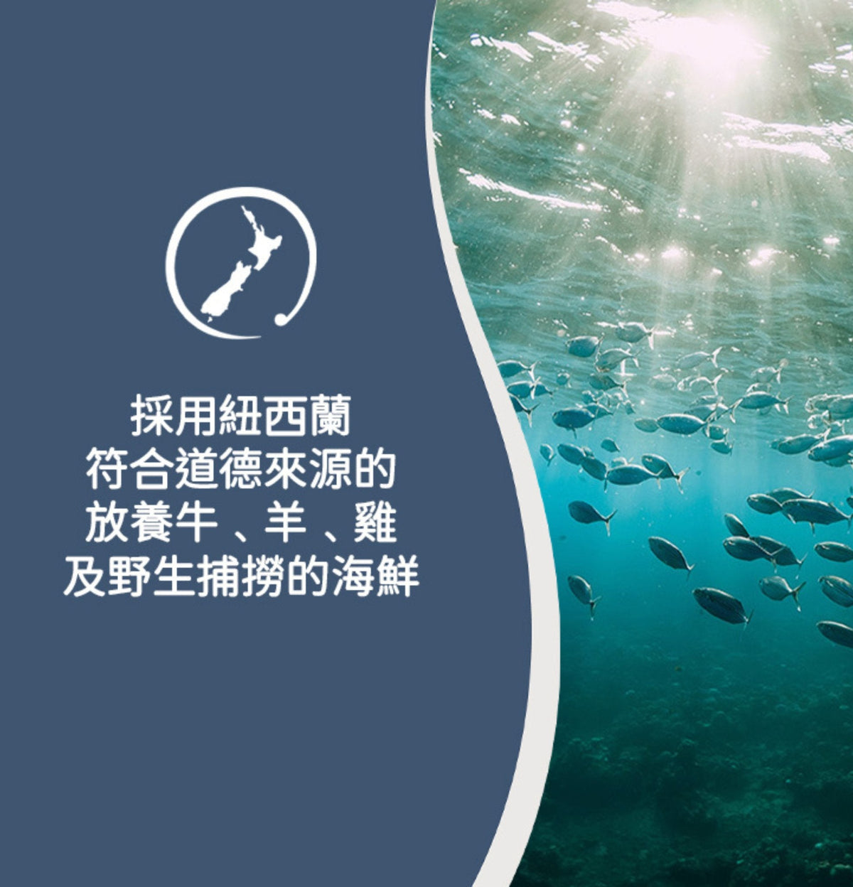 ZiwiPeak | 微蒸風乾草飼牛肉+南藍魚鱈貓糧 2.2kg
