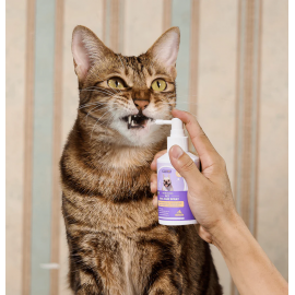 HICCPET 寵物口腔噴霧 150ml（貓狗適用）