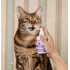 HICCPET 寵物口腔噴霧 150ml（貓狗適用）