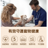 HICCPET 寵物眼睛淚痕修護膏 6g（貓狗適用）- 適合小型犬使用