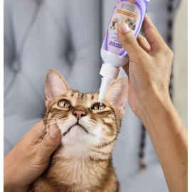 HICCPET 寵物溫和抗菌滴眼液 150ml（貓狗適用）
