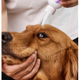 HICCPET 寵物溫和抗菌滴眼液 150ml（貓狗適用）