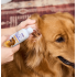 HICCPET 寵物止痕抗菌潔耳水 118ml（貓狗適用）