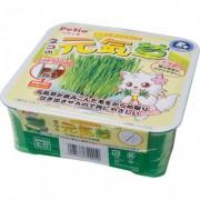 Petio 貓之元氣草 日本產 自種貓草方便套裝