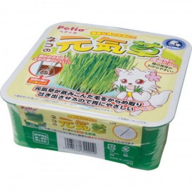 Petio 貓之元氣草 日本產 自種貓草方便套裝